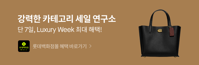 롯데백화점몰 플래시 랩 연결