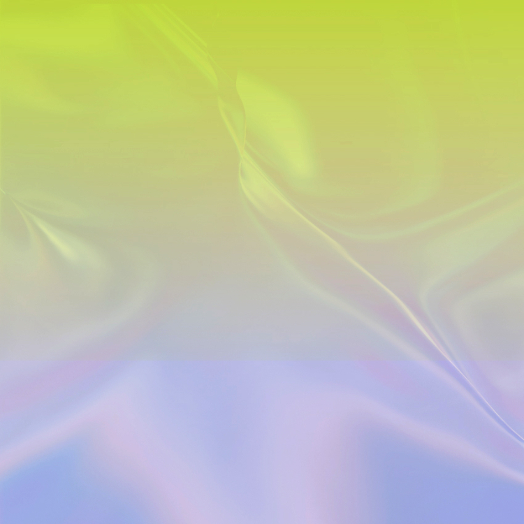 [SEL-FIT] <br>S/S 신상품 AI 피팅 서비스