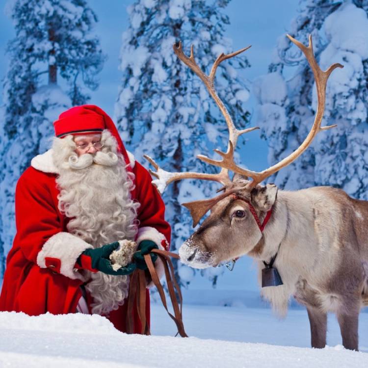 핀란드 공식 산타 내한