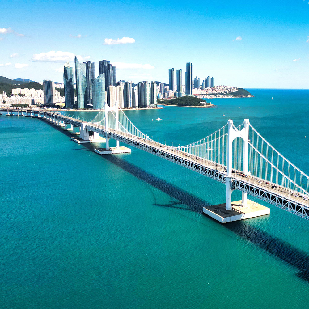 Discover the Charm of Dynamic Busan
