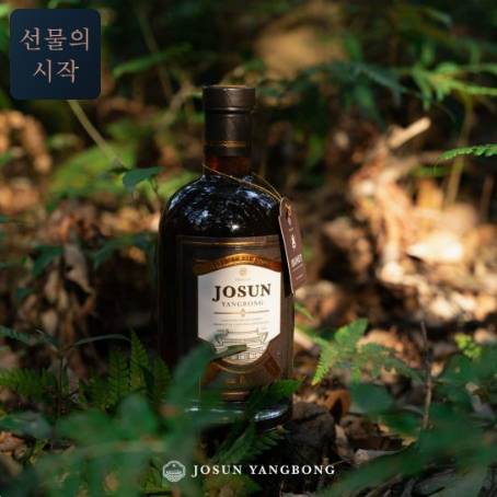 자연숙성 벌꿀 선물세트 (진 : 밤 꿀) 1.1kg