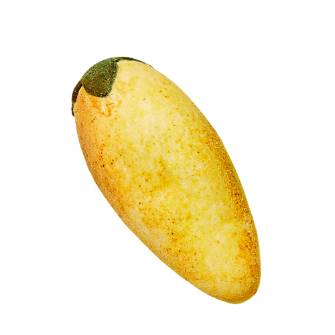 옥수수빵