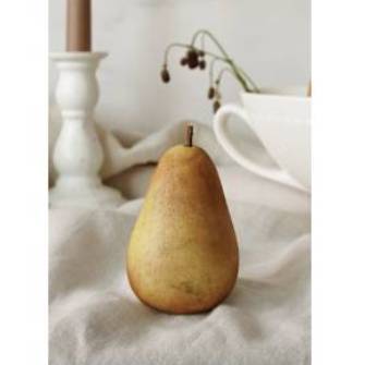 빈티지 서양배
VINTAGE PEAR