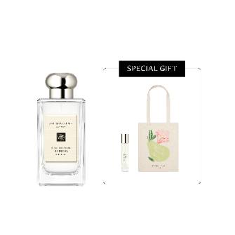 코롱 100ml 구매시