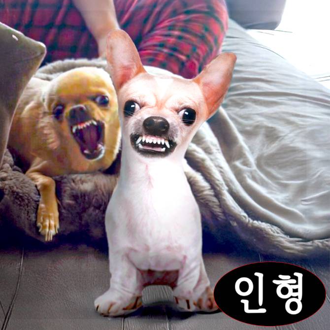 으르르 치와와 인형