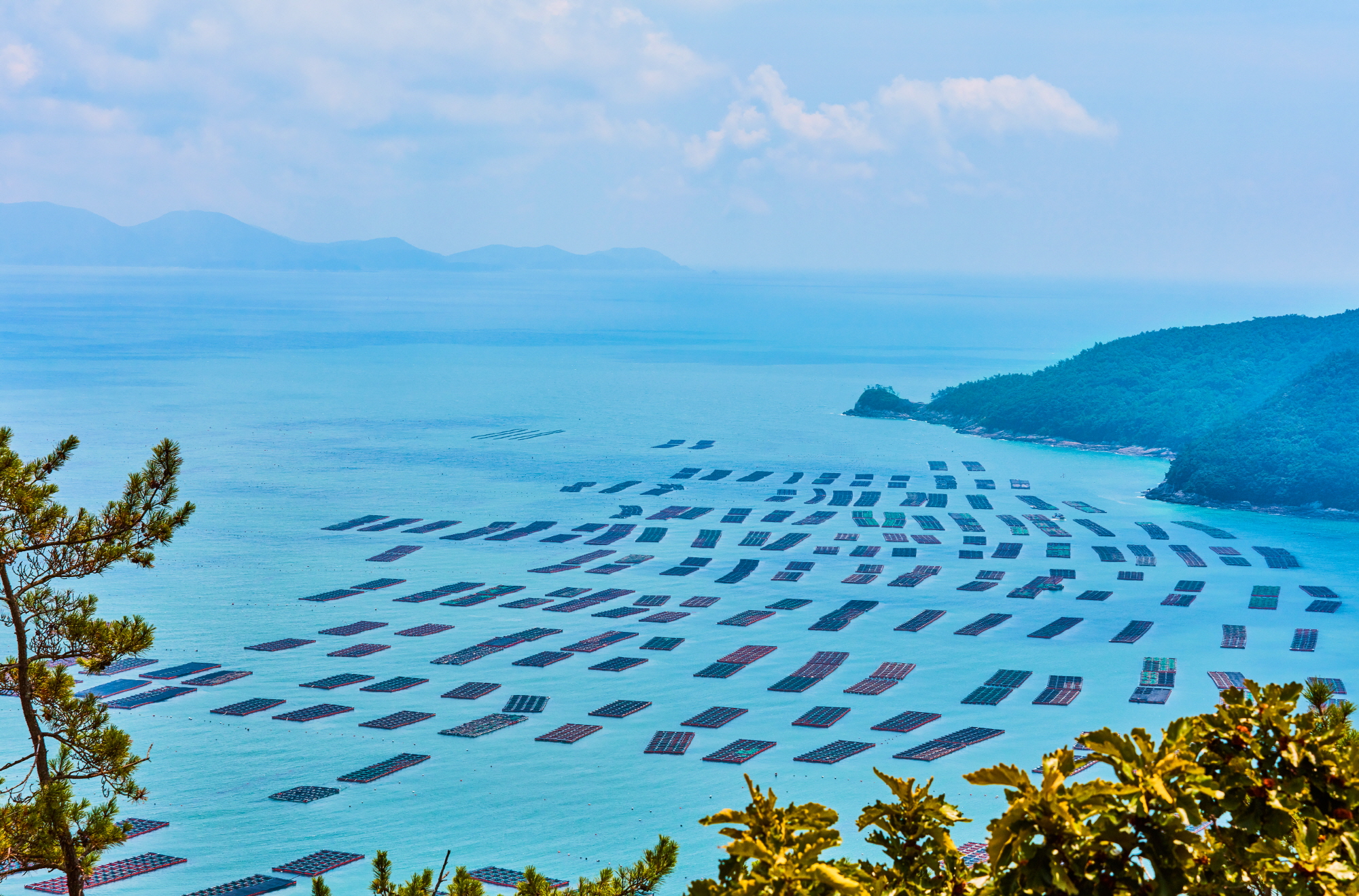 [완도보이] 올해 마지막! 앵콜 Pop-Up