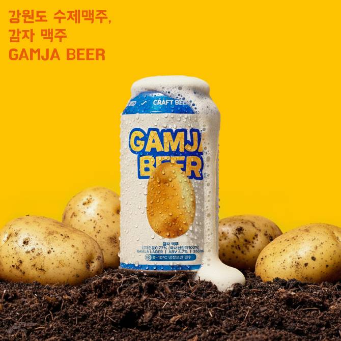 강원도 대표 수제맥주(감자맥주)