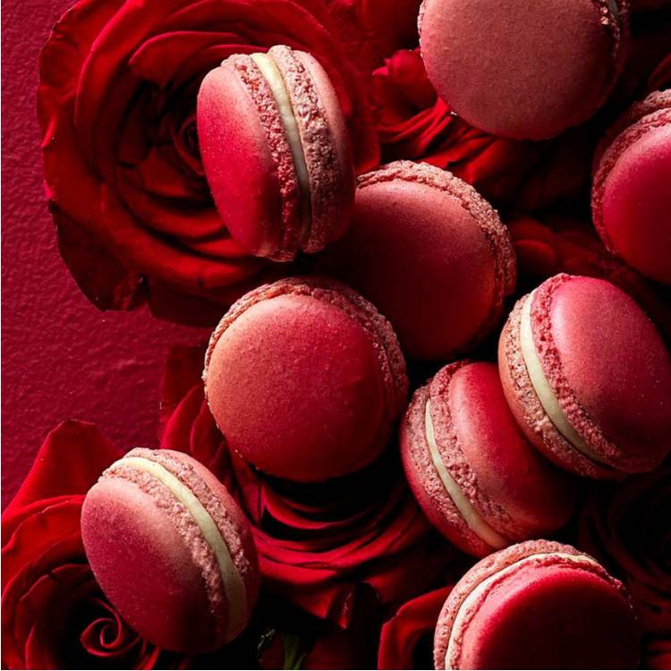 [피에르 에르메 파리] Pop-Up