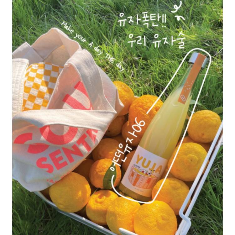 [이유있는술집]
트렌디 전통주 Pop-Up