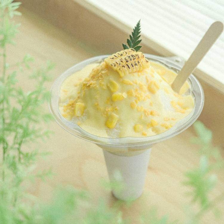 [강릉 빵지순례] 강릉 대표 디저트 맛집 Pop-Up