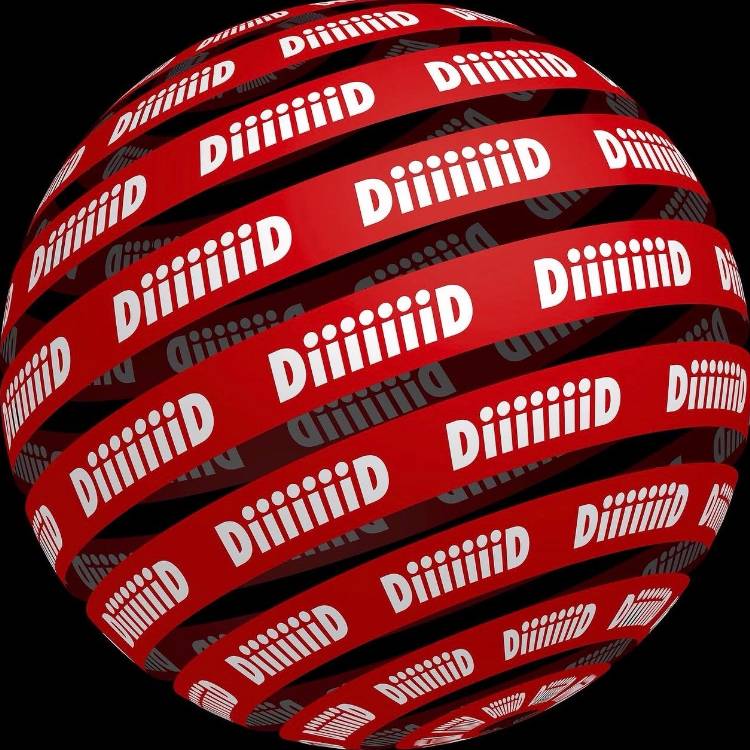 [DiiiiiiiD(디드)]Pop-Up