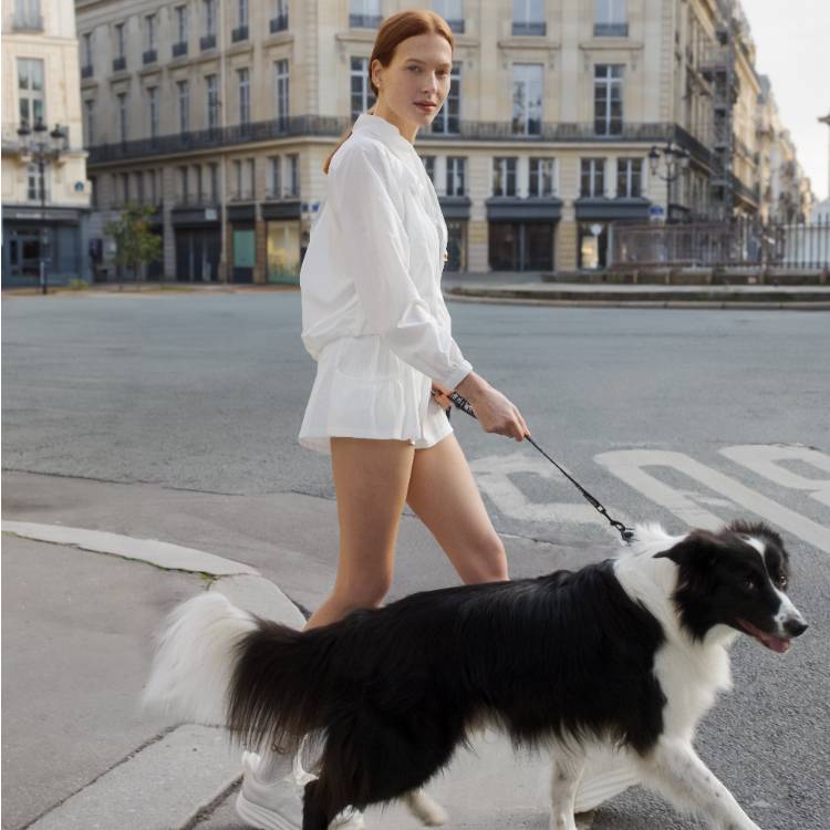 [위뜨/감탄브라]인기아이템 특별전