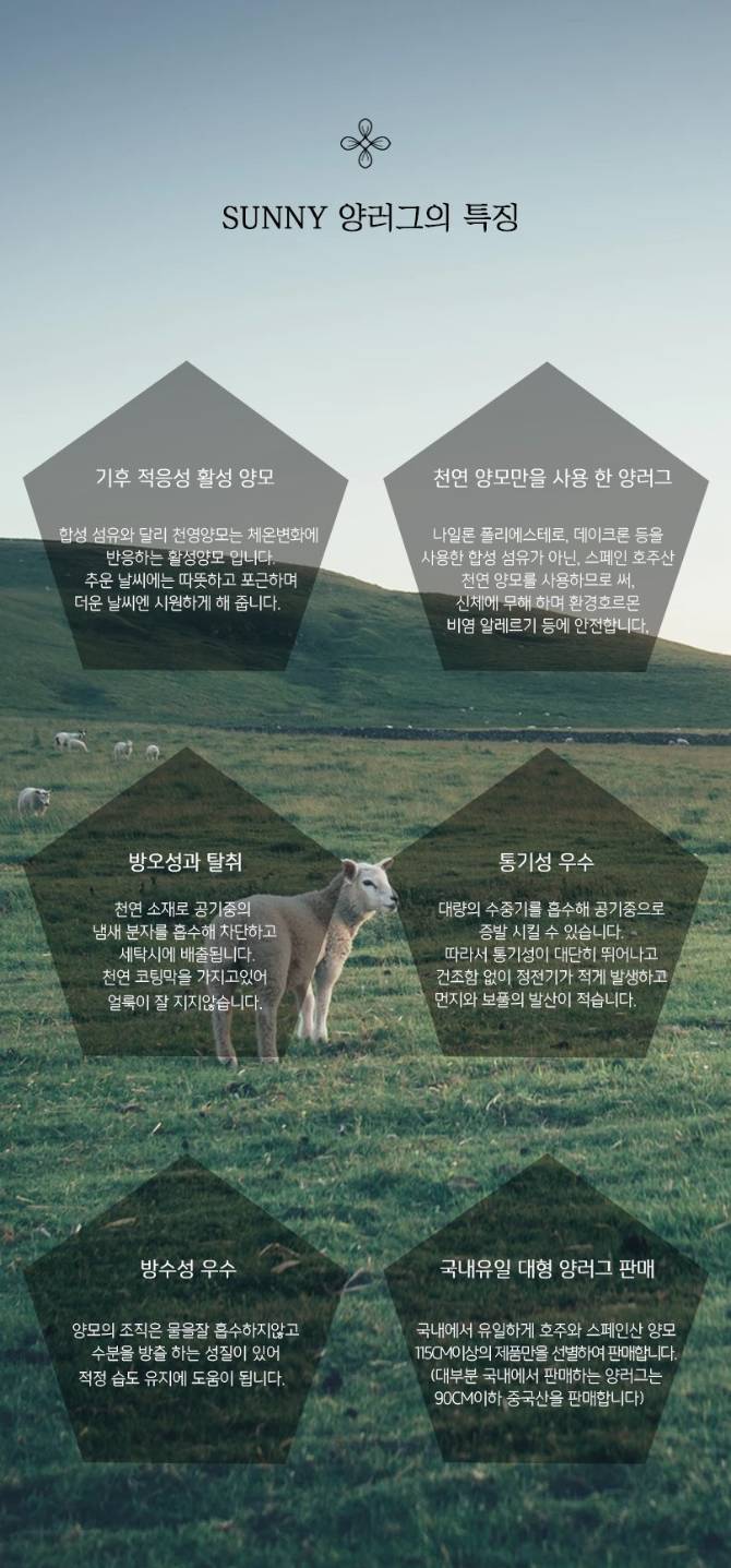 🐑 메리노 양모 본연의 가치를
담은 써니양모의 호주산 쉽스킨 컬렉션