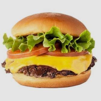쉑버거(ShackBurger)