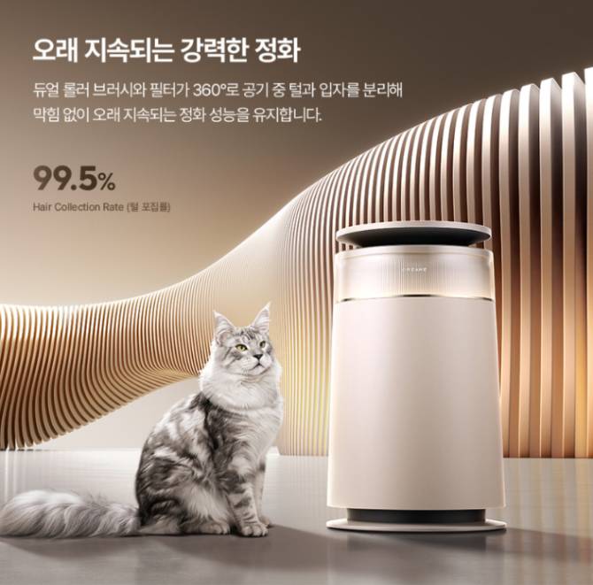FP10 공기청정기