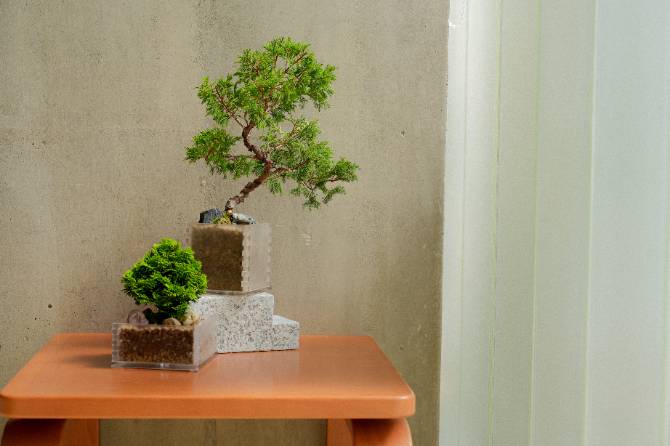 [MY CHOICE] Opacity Pot