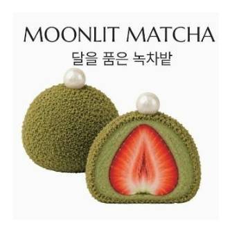 달을품은 녹차밭