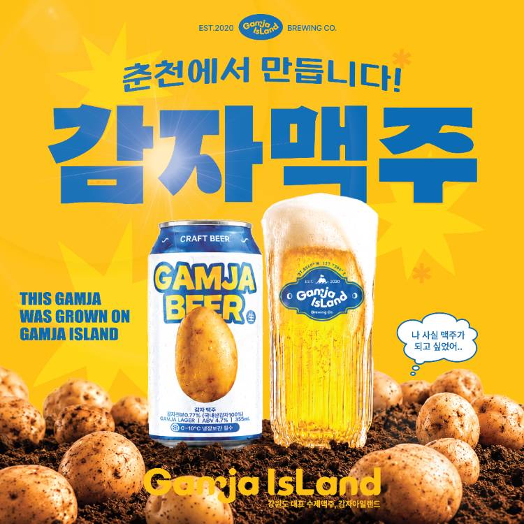 [감자아일랜드]
춘천에서 온 감자맥주 Pop-Up 🥔
