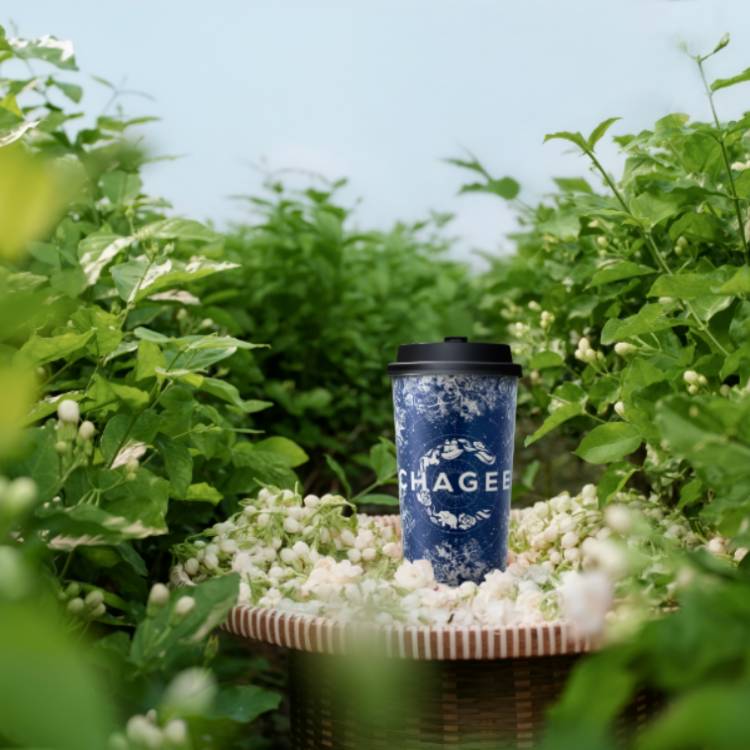 [차지(CHAGEE)] New Open