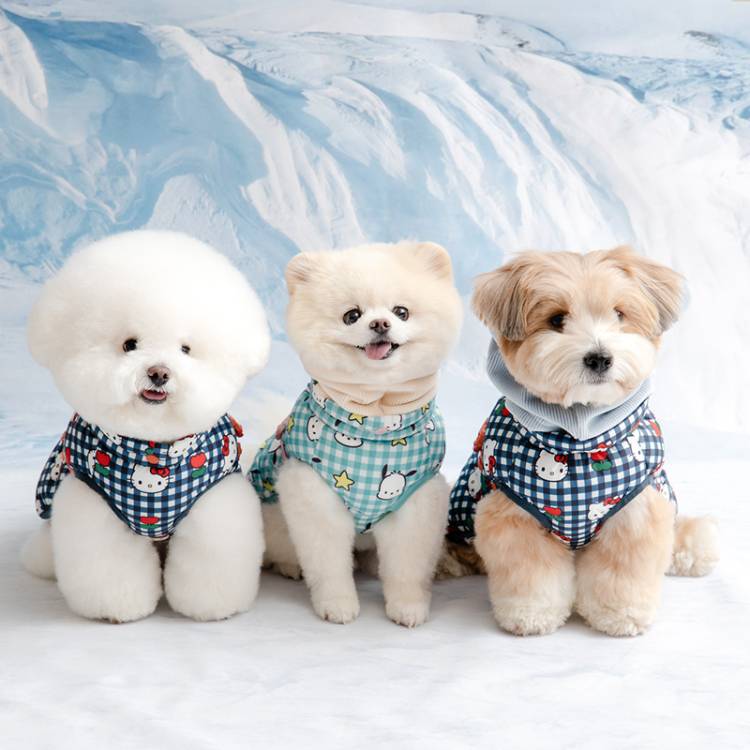 [바잇미] POP-UP 안내 이미지