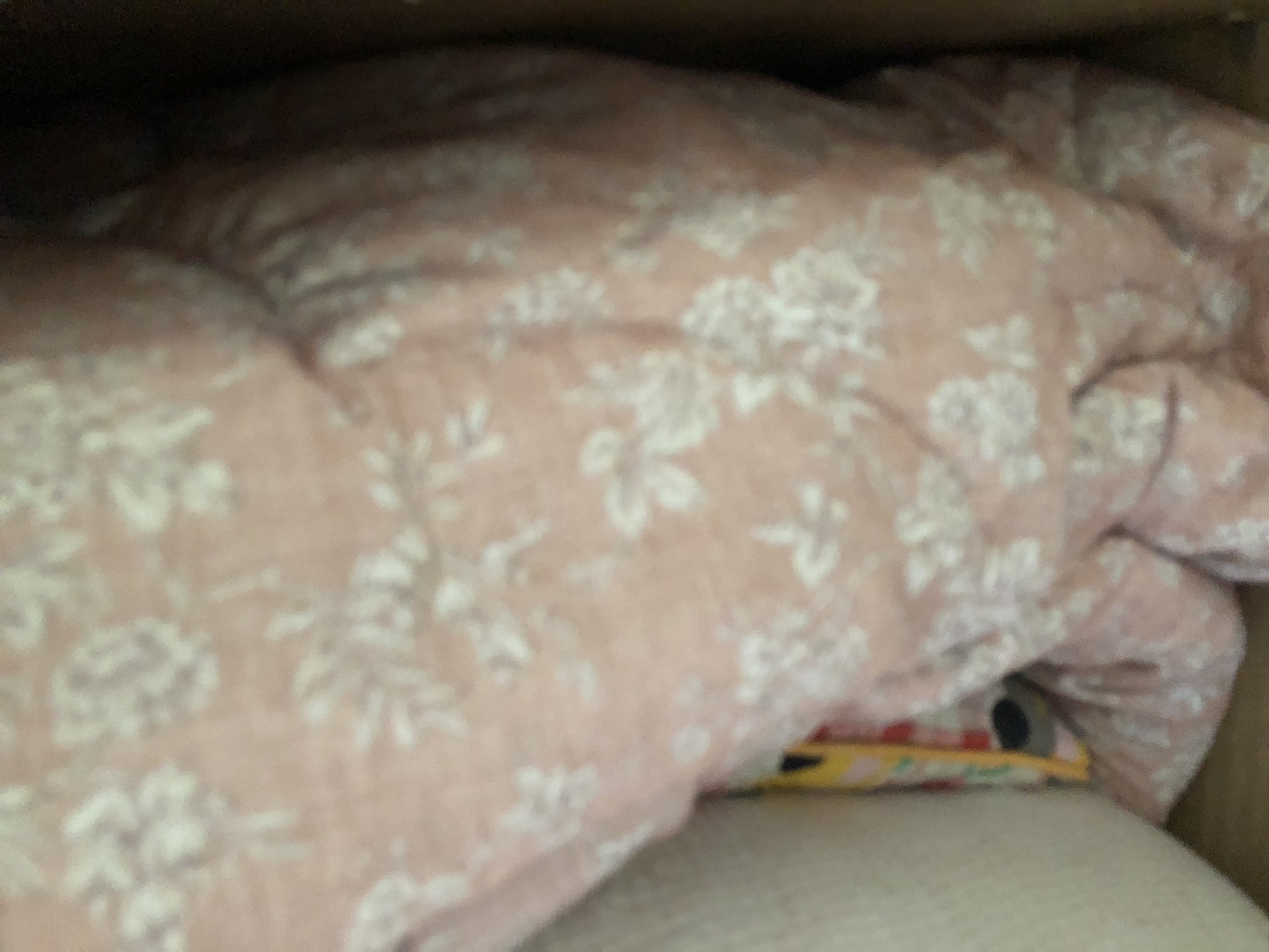 contents-img
