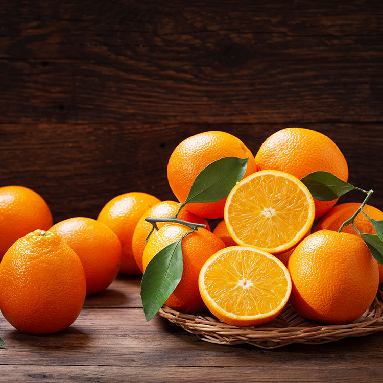 [야미푸루따]
인기 과일 모음전