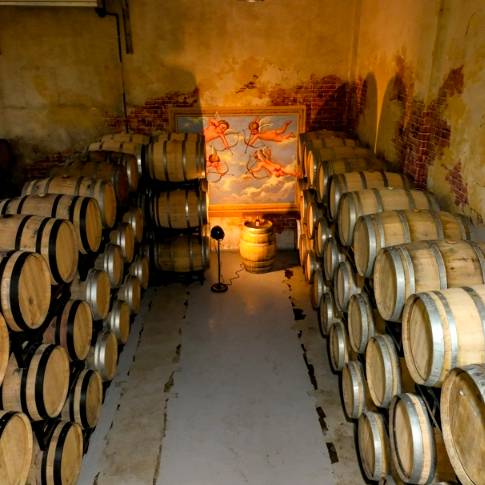 [4/23 외부] 한 잔에 담긴 시간, 전통주 양조장 투어