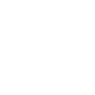 Longchamp paris
